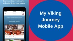 MyViking Journey